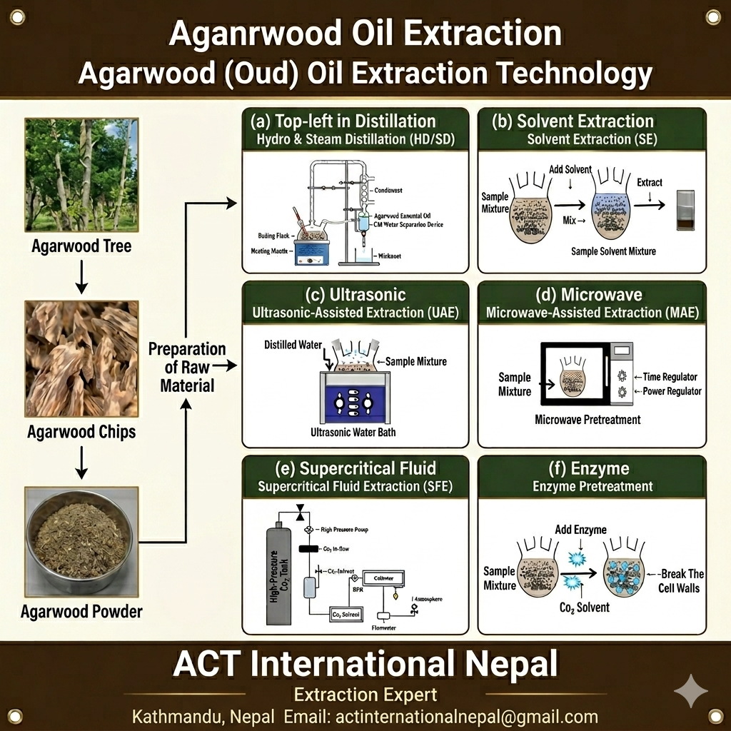 Agarwood Plantation Program image